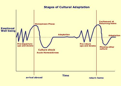 culture adaptation